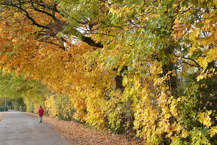 Automne_23_Cahors-Le Peyrat_Joseph Guegan.jpg